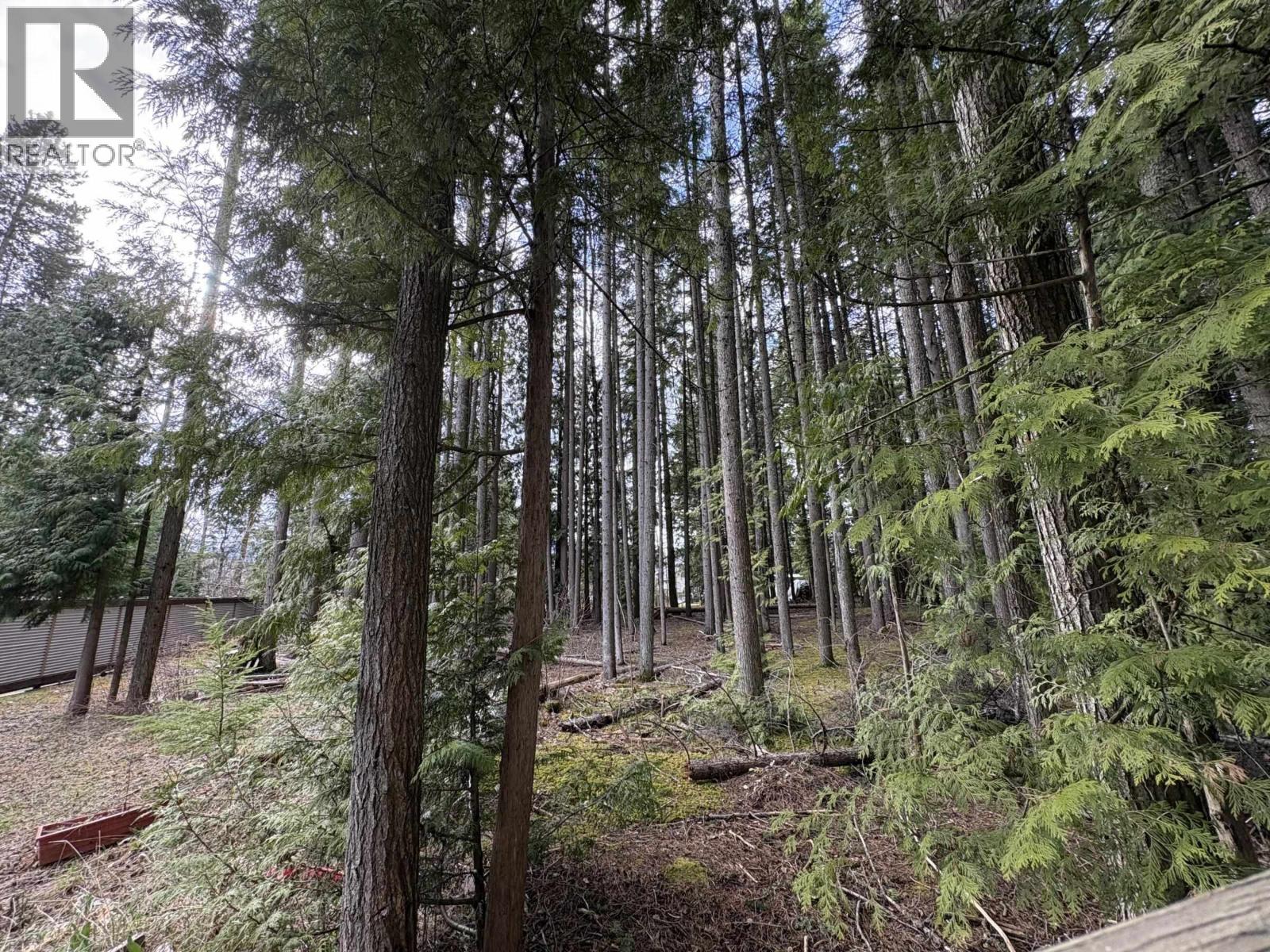 4017 Benner Street, Terrace, British Columbia  V8G 3B1 - Photo 28 - R3110358