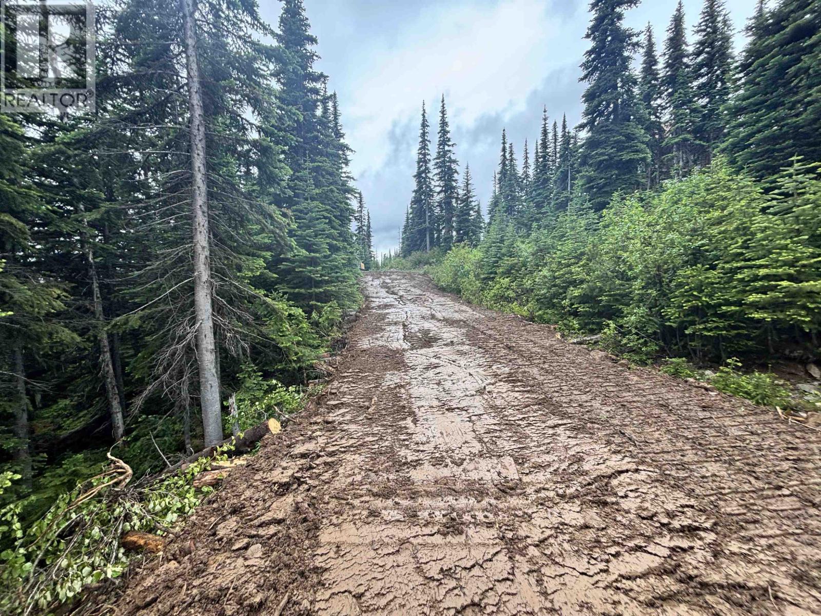 192 Alpine Way, Smithers, British Columbia  V0J 2N0 - Photo 3 - R3115810