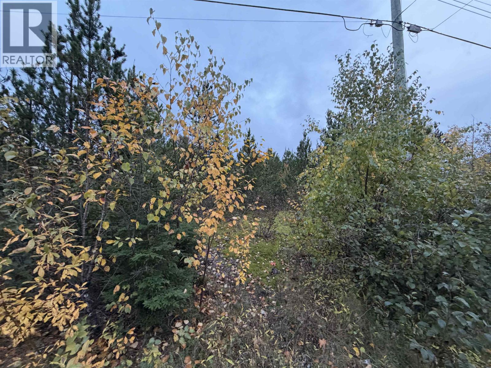 3567 Rose Avenue, Terrace, British Columbia  V8G 5T7 - Photo 2 - R3176338