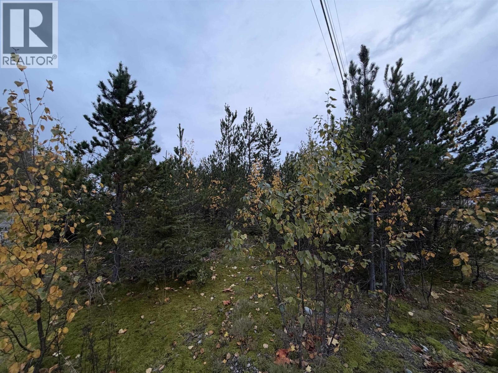 3567 Rose Avenue, Terrace, British Columbia  V8G 5T7 - Photo 3 - R3176338