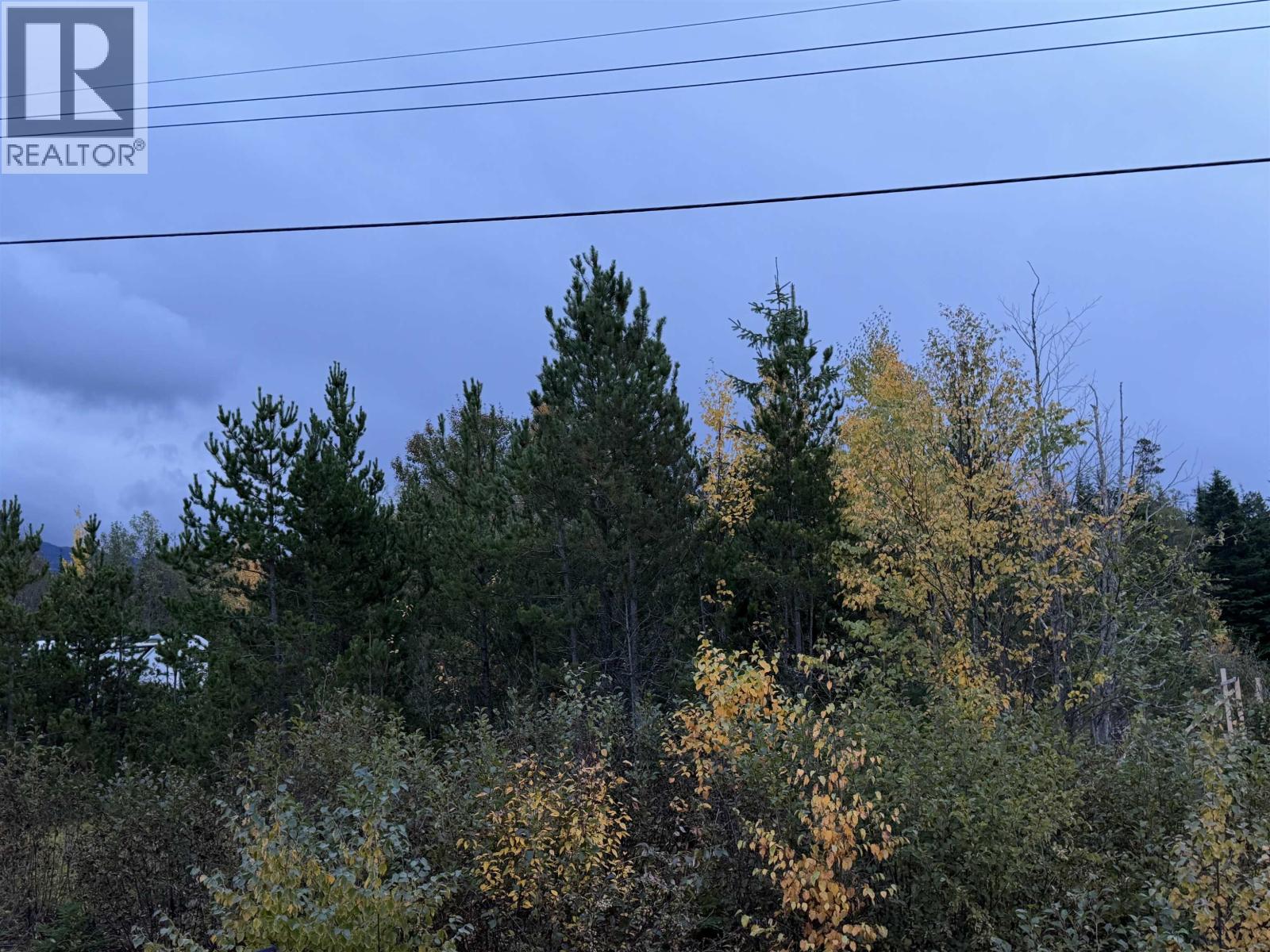 3567 Rose Avenue, Terrace, British Columbia  V8G 5T7 - Photo 4 - R3176338