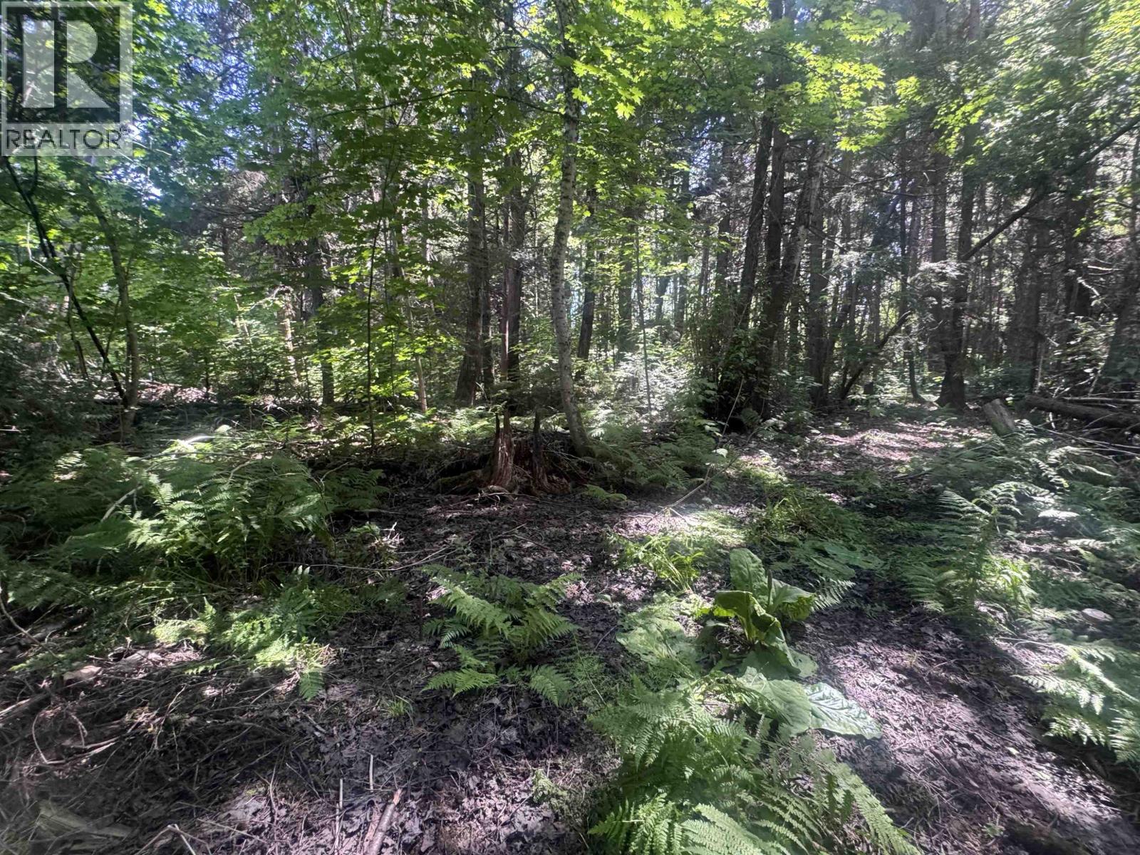 5025 Agar Avenue, Terrace, British Columbia  V8G 1H9 - Photo 6 - R3179142